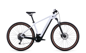 E-MTB